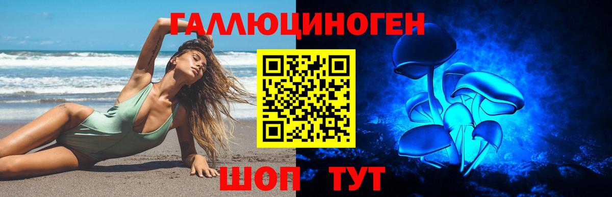 Коряжма  Псилоцибиновые грибы MAGIC MUSHROOMS  Вход с VPN 